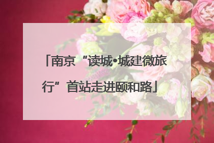 南京“读城•城建微旅行”首站走进颐和路
