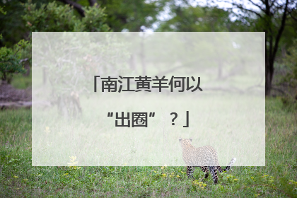 南江黄羊何以“出圈”？