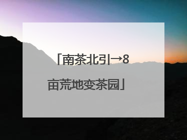 南茶北引→8亩荒地变茶园