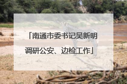 南通市委书记吴新明调研公安、边检工作