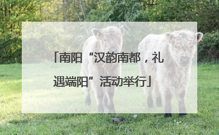 南阳“汉韵南都，礼遇端阳”活动举行