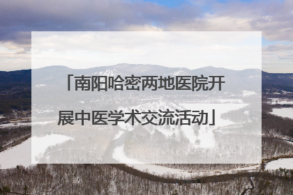 南阳哈密两地医院开展中医学术交流活动