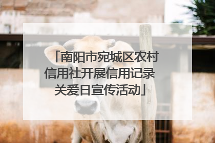 南阳市宛城区农村信用社开展信用记录关爱日宣传活动