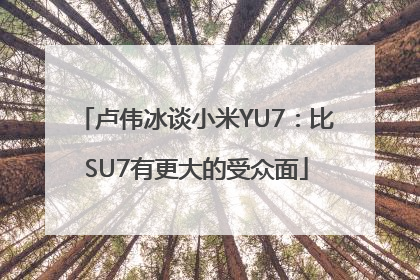 卢伟冰谈小米YU7：比SU7有更大的受众面
