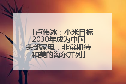 卢伟冰：小米目标2030年成为中国头部家电，非常期待和美的海尔并列