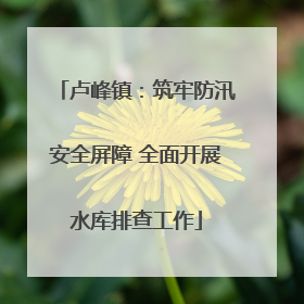 卢峰镇：筑牢防汛安全屏障 全面开展水库排查工作