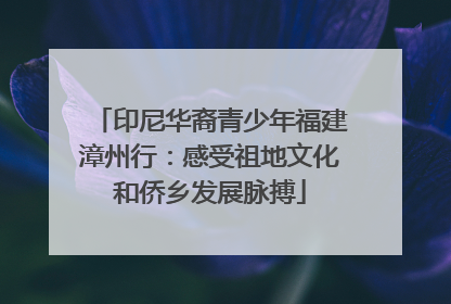 印尼华裔青少年福建漳州行：感受祖地文化和侨乡发展脉搏