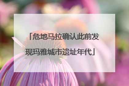 危地马拉确认此前发现玛雅城市遗址年代