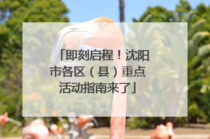即刻启程！沈阳市各区（县）重点活动指南来了