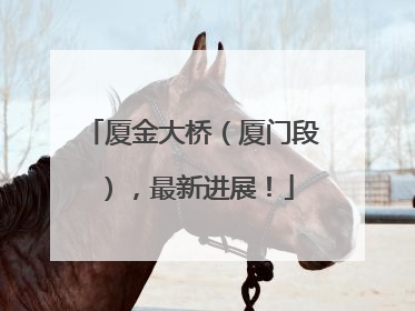 厦金大桥（厦门段），最新进展！
