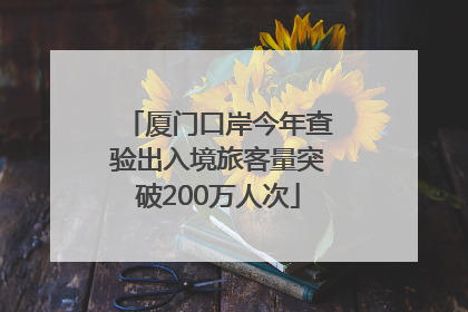 厦门口岸今年查验出入境旅客量突破200万人次