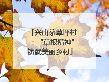兴山茅草坪村：“草根精神”铸就美丽乡村