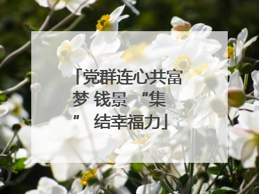 党群连心共富梦 钱景 “集” 结幸福力