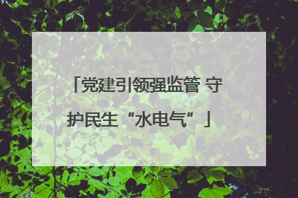 党建引领强监管 守护民生“水电气”