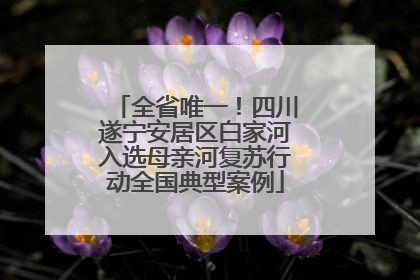 全省唯一！四川遂宁安居区白家河入选母亲河复苏行动全国典型案例