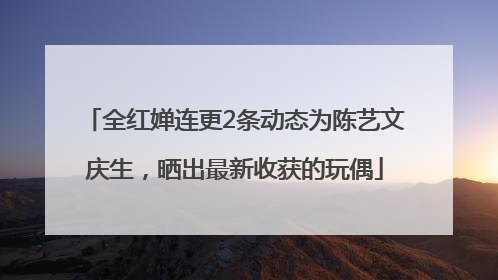 全红婵连更2条动态为陈艺文庆生，晒出最新收获的玩偶