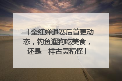 全红婵退赛后首更动态，钓鱼遛狗吃美食，还是一样古灵精怪