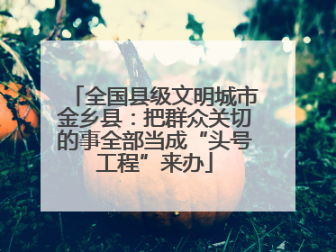 全国县级文明城市金乡县：把群众关切的事全部当成“头号工程”来办