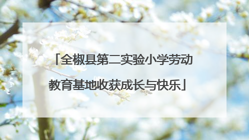 全椒县第二实验小学劳动教育基地收获成长与快乐