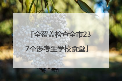 全覆盖检查全市237个涉考生学校食堂