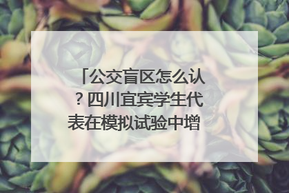公交盲区怎么认？四川宜宾学生代表在模拟试验中增强乘车安全意识