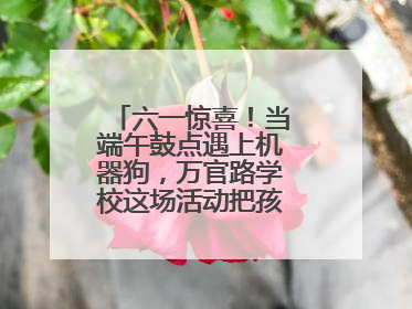 六一惊喜！当端午鼓点遇上机器狗，万官路学校这场活动把孩子们看呆啦→