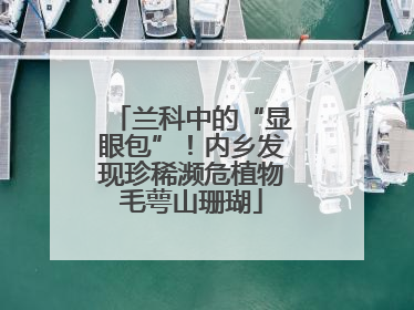 兰科中的“显眼包”！内乡发现珍稀濒危植物毛萼山珊瑚