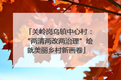关岭岗乌镇中心村：“两清两改两治理”绘就美丽乡村新画卷