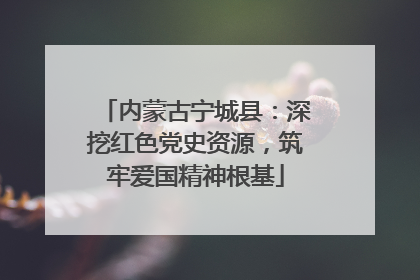 内蒙古宁城县：深挖红色党史资源，筑牢爱国精神根基
