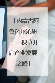内蒙古阿鲁科尔沁旗：一棵草开启产业发展之路