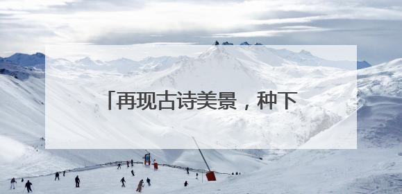 再现古诗美景，种下致富希望，西湖景区村民自发茶园植树