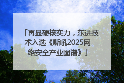 再显硬核实力，东进技术入选《嘶吼2025网络安全产业图谱》