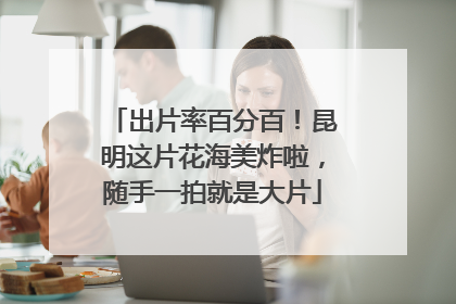 出片率百分百！昆明这片花海美炸啦，随手一拍就是大片