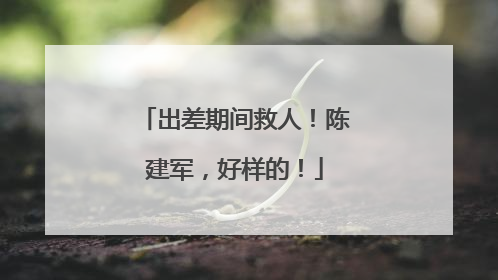 出差期间救人！陈建军，好样的！
