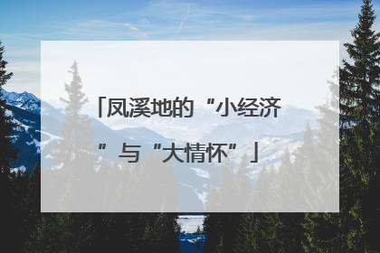 凤溪地的“小经济”与“大情怀”