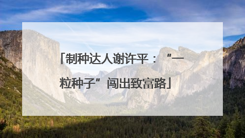 制种达人谢许平：“一粒种子”闯出致富路