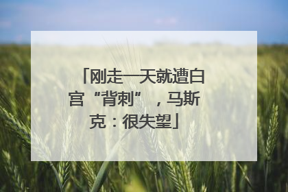刚走一天就遭白宫“背刺”，马斯克：很失望