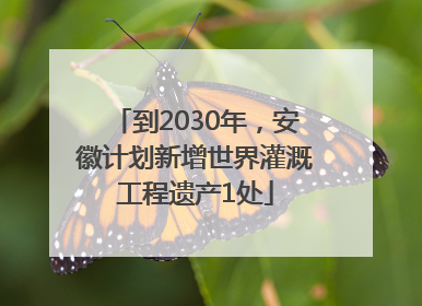 到2030年，安徽计划新增世界灌溉工程遗产1处