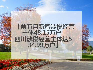 前五月新增涉税经营主体48.15万户 四川涉税经营主体达534.99万户