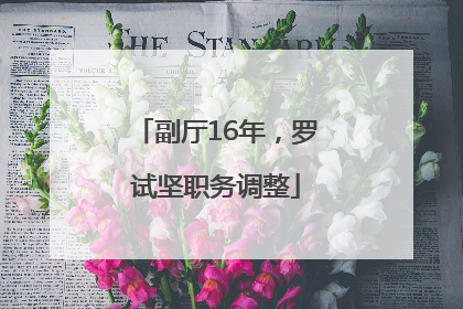 副厅16年，罗试坚职务调整