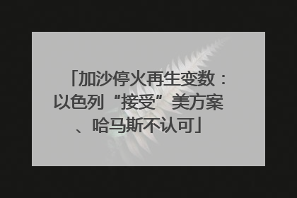 加沙停火再生变数：以色列“接受”美方案、哈马斯不认可