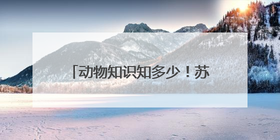 动物知识知多少！苏州相城建元社区开展生物多样性科普活动
