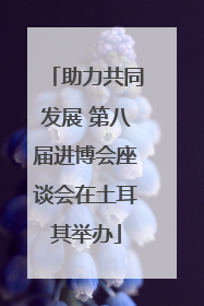 助力共同发展 第八届进博会座谈会在土耳其举办