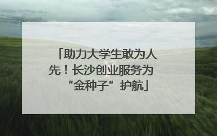助力大学生敢为人先！长沙创业服务为“金种子”护航