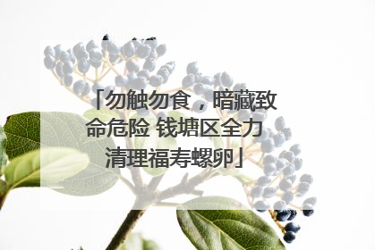 勿触勿食，暗藏致命危险 钱塘区全力清理福寿螺卵