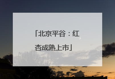 北京平谷：红杏成熟上市