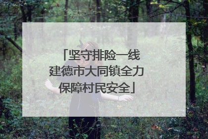 坚守排险一线 建德市大同镇全力保障村民安全
