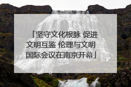 坚守文化根脉 促进文明互鉴 伦理与文明国际会议在南京开幕