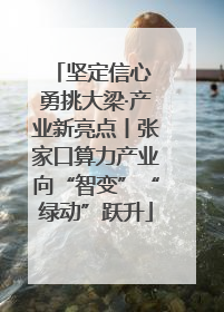 坚定信心 勇挑大梁·产业新亮点丨张家口算力产业向“智变”“绿动”跃升