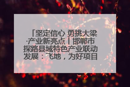 坚定信心 勇挑大梁·产业新亮点丨邯郸市探路县域特色产业联动发展：飞地，为好项目跨域安个家